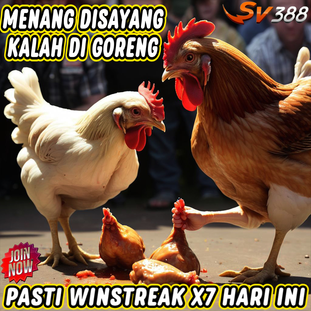 SV388 Link Alternatif Situs Sabung ayam Online Anti Blokir Terpercaya